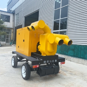 1000方12寸双进双出移动泵车