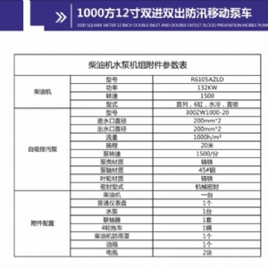1000方12寸双进双出移动泵车